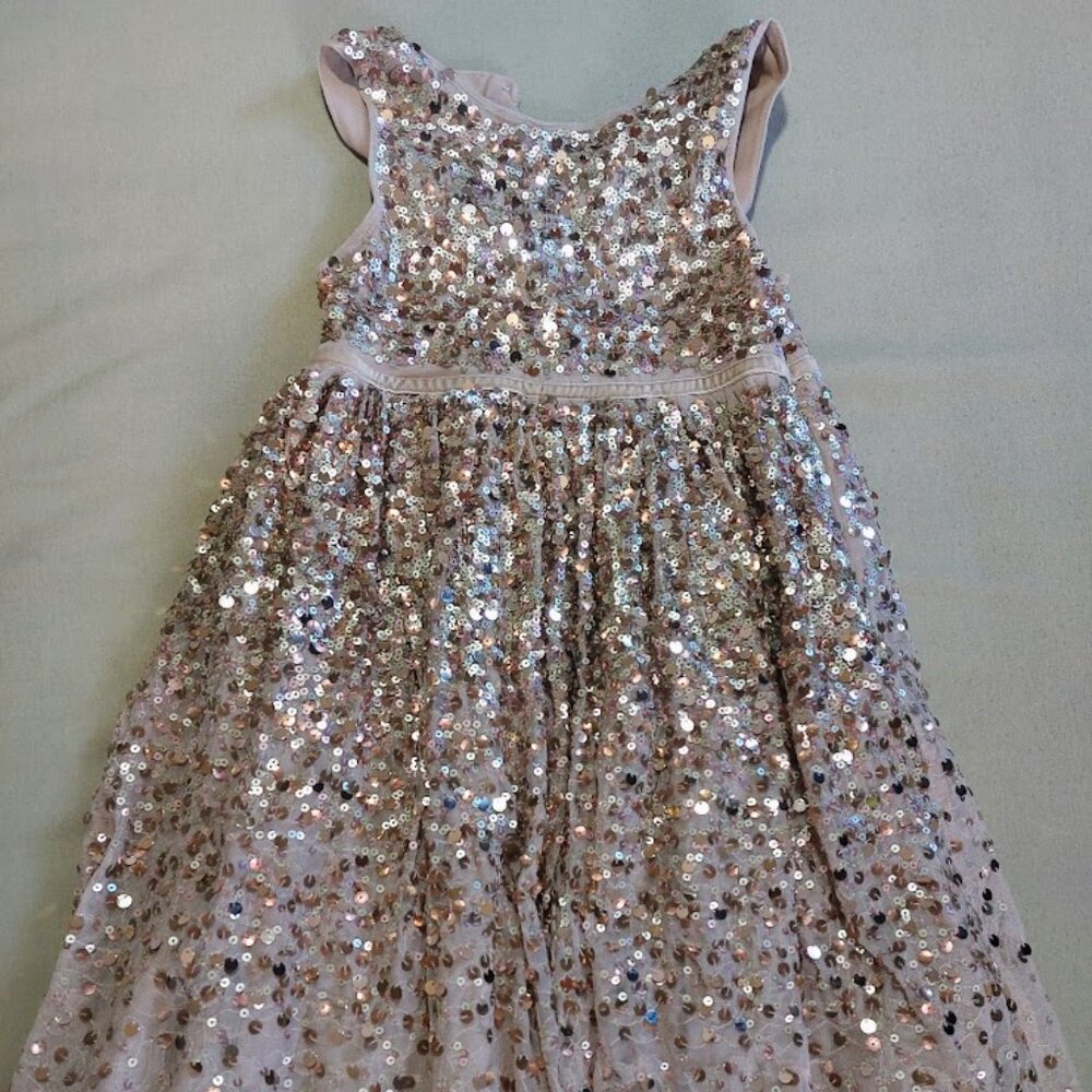 Beautiful Glittery Dress in Younger Sister Version